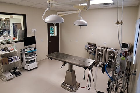 Centennial Hills Animal Hospital - Diagnostic Lab Testing & Imaging