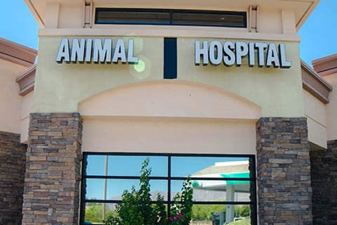 Centennial Hills Animal Hospital